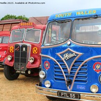 Buy canvas prints of Three Vintage Trucks by Ross McNeillie