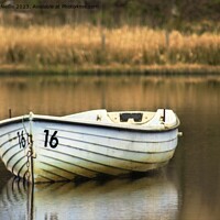 Buy canvas prints of Small rowing boat by Ross McNeillie