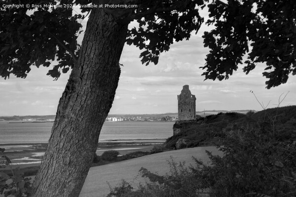 Greenan Castle - Ayr I Picture Board by Ross McNeillie