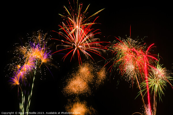 Bonfire Night Display Picture Board by Ross McNeillie