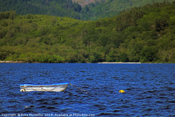 Rowing boat on Loch Lomond Picture Board by Ross McNeillie