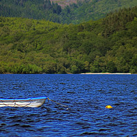 Buy canvas prints of Rowing boat on Loch Lomond by Ross McNeillie