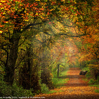 Buy canvas prints of Enchanting Autumn Pathway by Ross McNeillie
