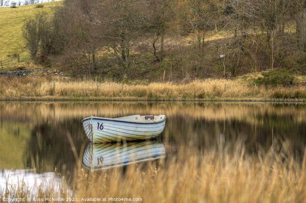 Boat on Loch Barnshean Picture Board by Ross McNeillie