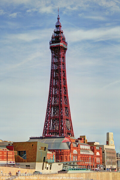 Blackpool Tower Picture Board by Ross McNeillie