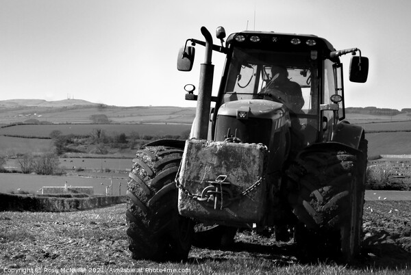 Spring Ploughing in Ayrshire Picture Board by Ross McNeillie