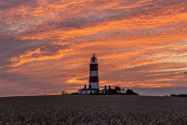 Happisburgh lighthouse Picture Board by Dorringtons Adventures