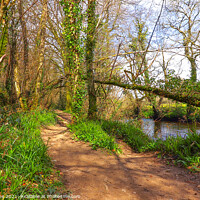 Buy canvas prints of Spring walk by the river  by Ian Stone