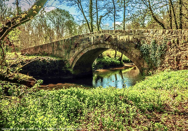 Bridge over the Avon Picture Board by Ian Stone