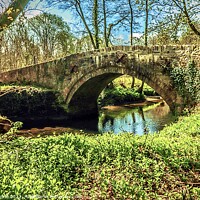 Buy canvas prints of Bridge over the Avon by Ian Stone
