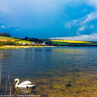 Buy canvas prints of Swan Lake by Ian Stone