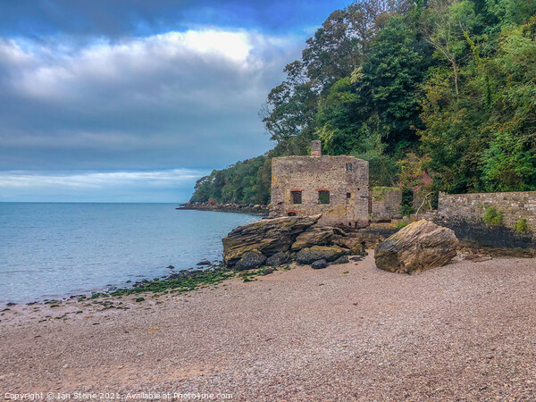 Old bath house, Elbury Cove  Picture Board by Ian Stone