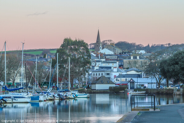 Tranquil Serenity on Kingsbridge Estuary Picture Board by Ian Stone