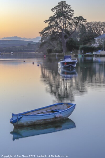 Kingsbridge  and Salcombe Estuary  Picture Board by Ian Stone