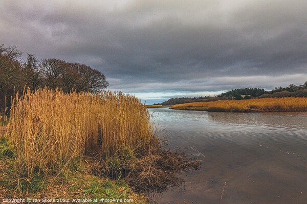 Teign Estuary  Picture Board by Ian Stone