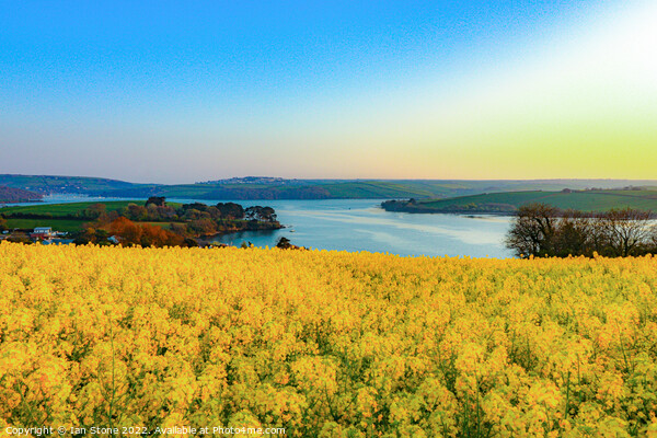 Estuary view Picture Board by Ian Stone