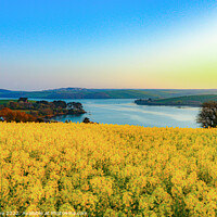 Buy canvas prints of Estuary view by Ian Stone
