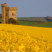 Buy canvas prints of Enveloped by Yellow by Ian Stone
