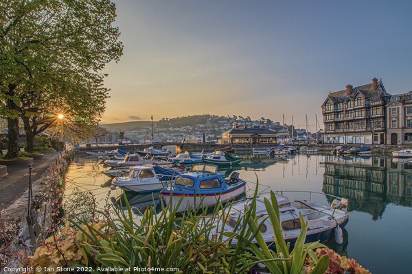 Dartmouth Harbour  Picture Board by Ian Stone