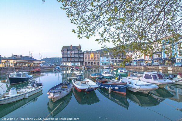 Dartmouth harbour  Picture Board by Ian Stone
