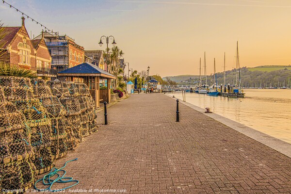 Dartmouth quayside and promenade  Picture Board by Ian Stone