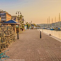 Buy canvas prints of Dartmouth quayside and promenade  by Ian Stone