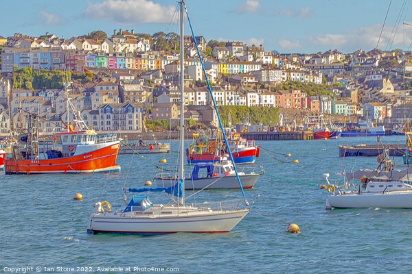 Brixham  Picture Board by Ian Stone