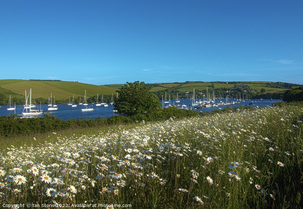 The kingsbridge and Salcombe estuary  Picture Board by Ian Stone
