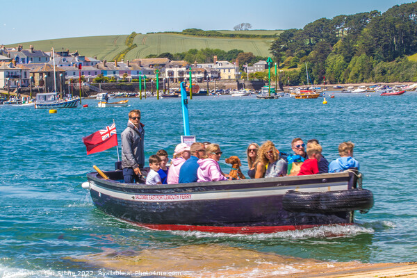 Salcombe ferry boat  Picture Board by Ian Stone