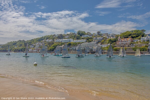 Lovely Salcombe  Picture Board by Ian Stone