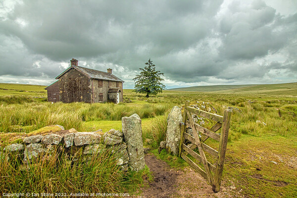 Nun’s Cross Farm, Dartmoor  Picture Board by Ian Stone