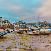 Buy canvas prints of Paignton harbour  by Ian Stone