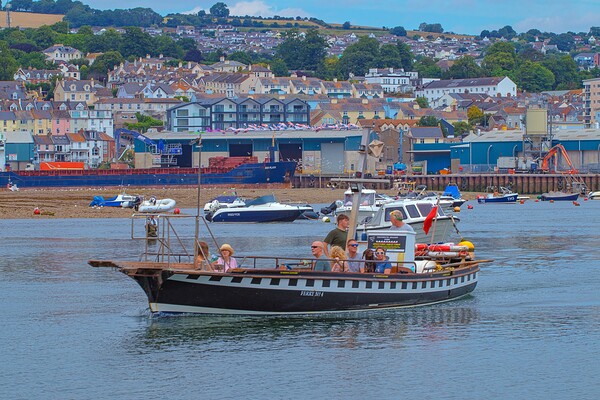 Ferry across the Teign  Picture Board by Ian Stone