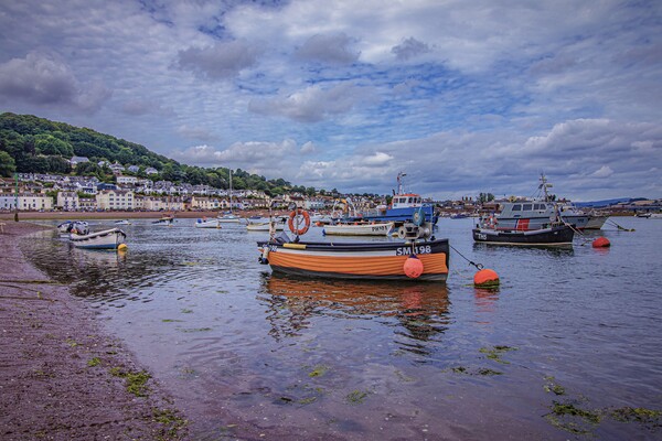 Teignmouth back beach  Picture Board by Ian Stone