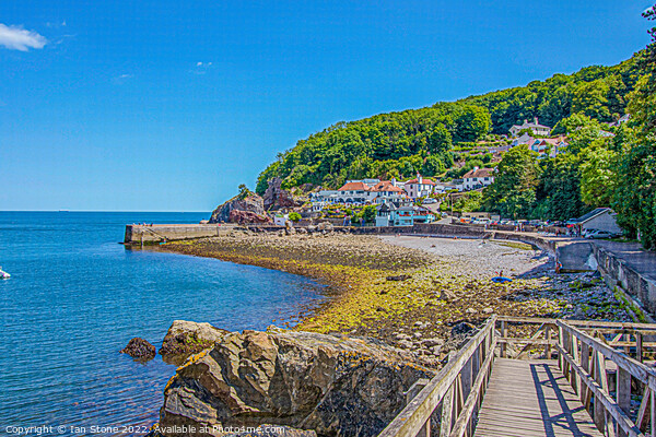 Babbacombe  Picture Board by Ian Stone