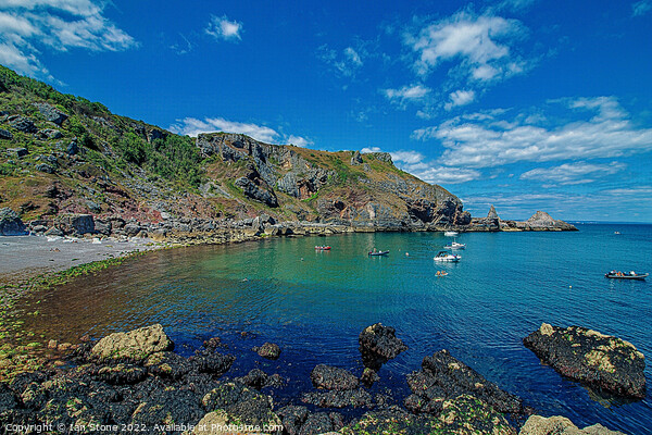 Ansteys Cove Torquay  Picture Board by Ian Stone