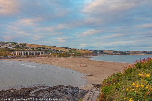 A view from Burgh island  Picture Board by Ian Stone