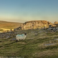Buy canvas prints of Sunset at Sheeps Tor. by Ian Stone