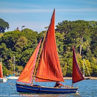 Buy canvas prints of Sailing on the river Dart  by Ian Stone