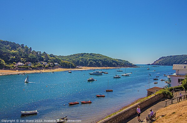 Summertime at Beautiful Salcombe Picture Board by Ian Stone