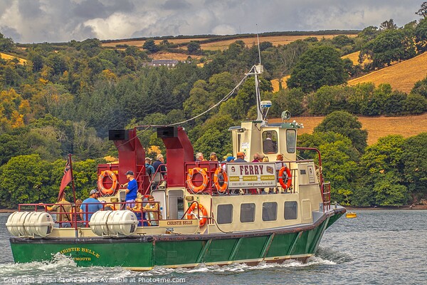 Dartmouth Pleasure boat. Picture Board by Ian Stone