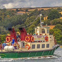 Buy canvas prints of Dartmouth Pleasure boat. by Ian Stone