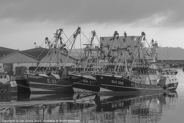 Brixham fishing boats  Picture Board by Ian Stone