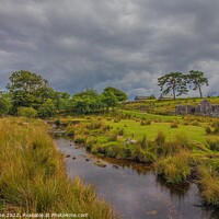 Buy canvas prints of Powdermills, Dartmoor  by Ian Stone