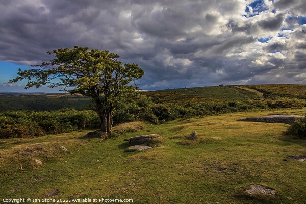 Beautiful Dartmoor  Picture Board by Ian Stone