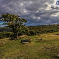 Buy canvas prints of Beautiful Dartmoor  by Ian Stone