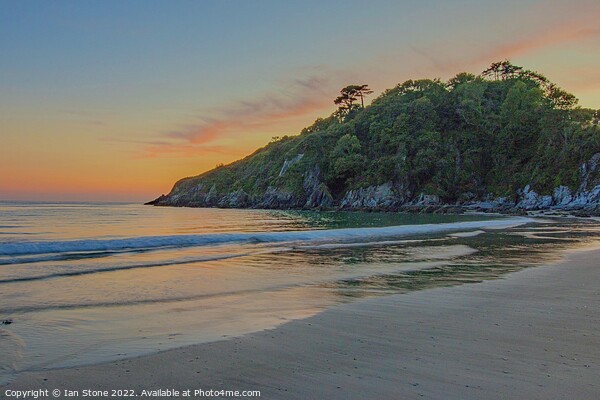 Golden Sunset Over Mothecombe Beach Picture Board by Ian Stone