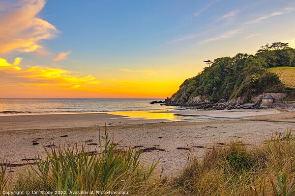 Golden Sunset at Mothecombe Beach Picture Board by Ian Stone