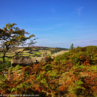 Buy canvas prints of Bowerman’s Nose Tor. by Ian Stone