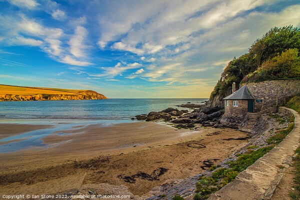 Mothecombe beach  Picture Board by Ian Stone